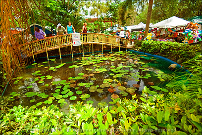 Festival de las Flores (evento) 3